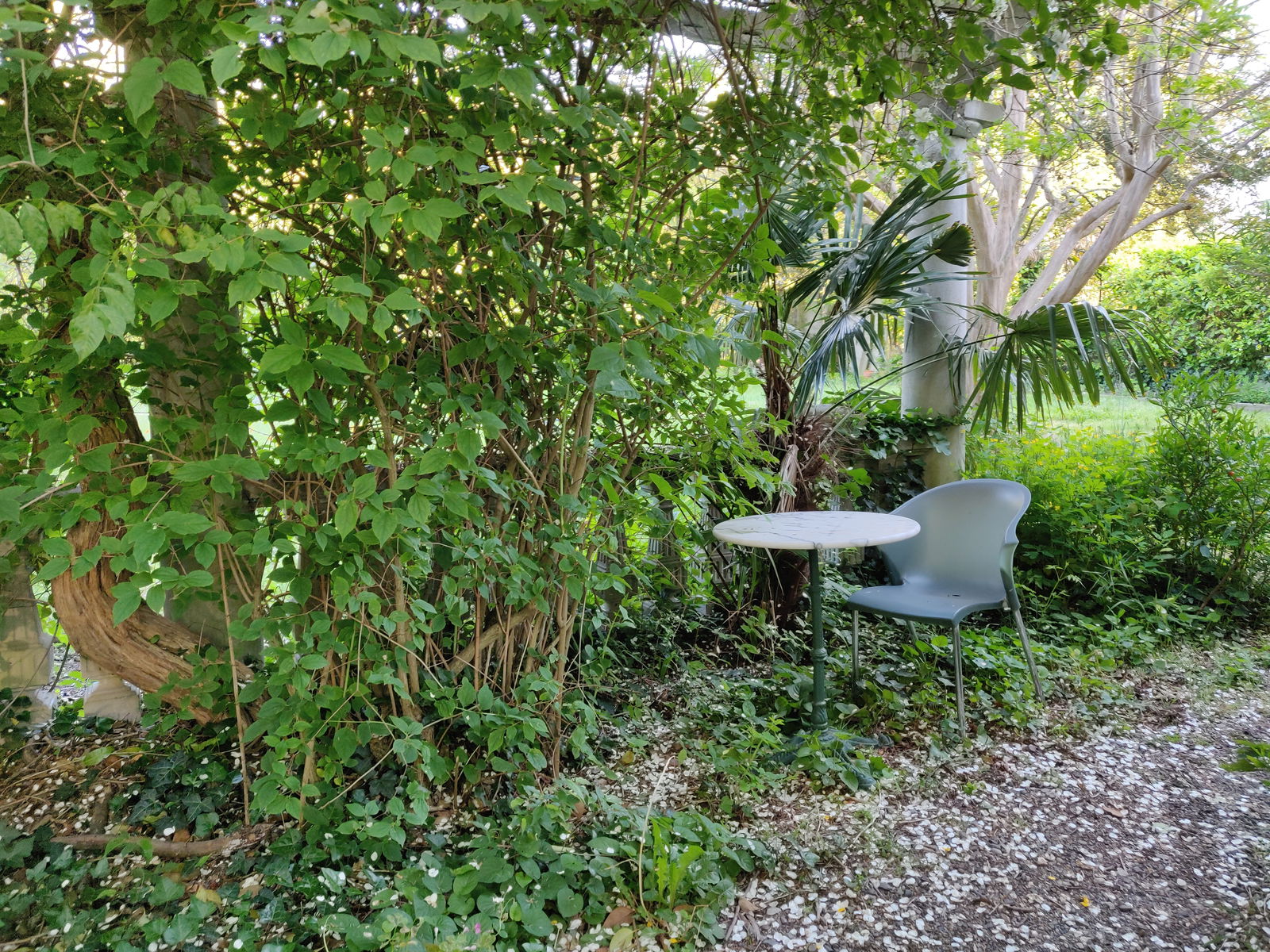 Onafhankelijke Studio Toulouse 258294