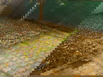 Logement Entier Bois-Le-Roi 469197-10