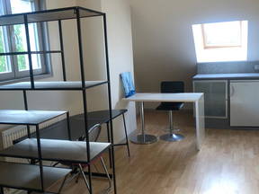 Nuevo estudio