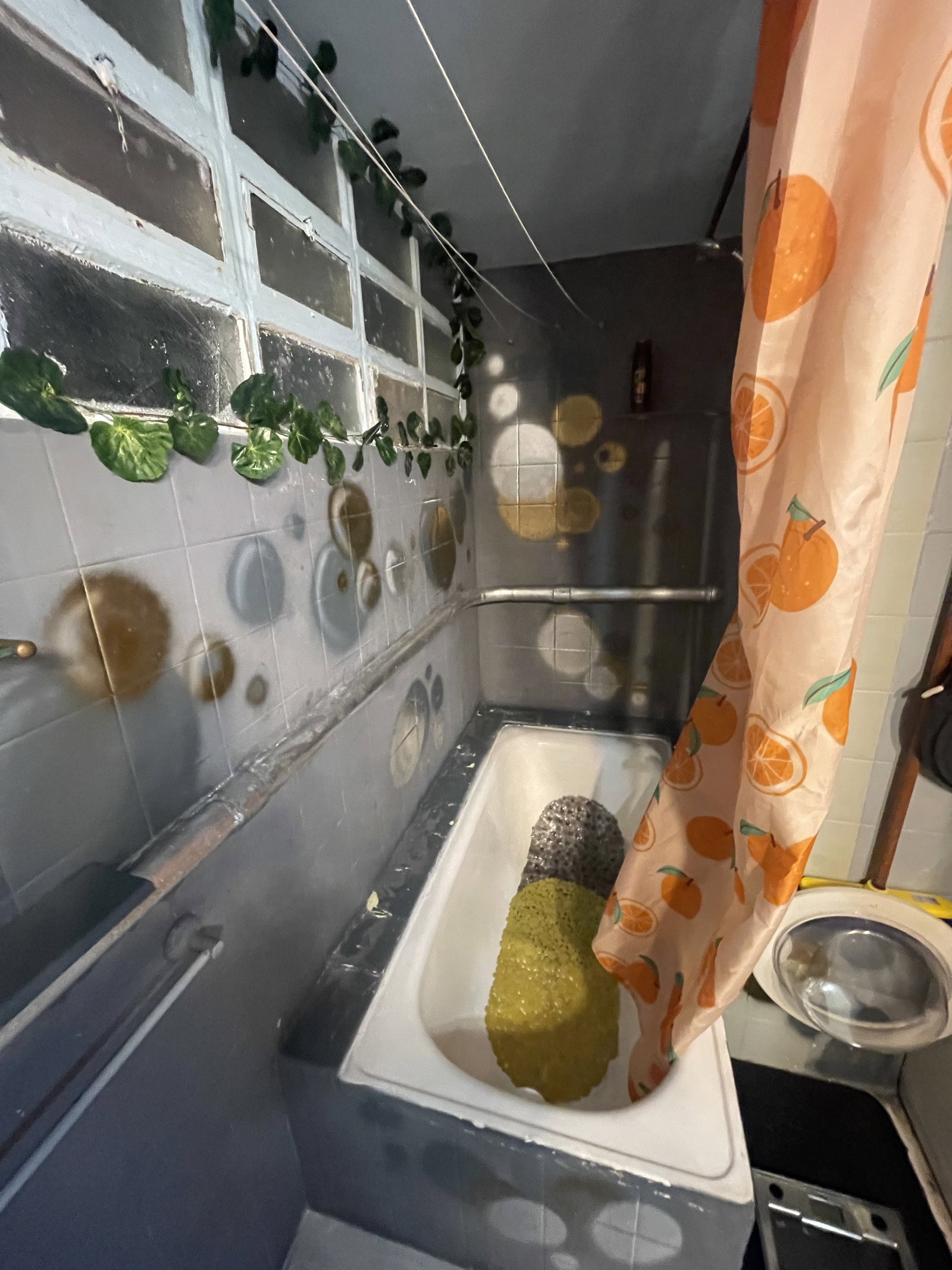 Gehele Woning Alacant 674225