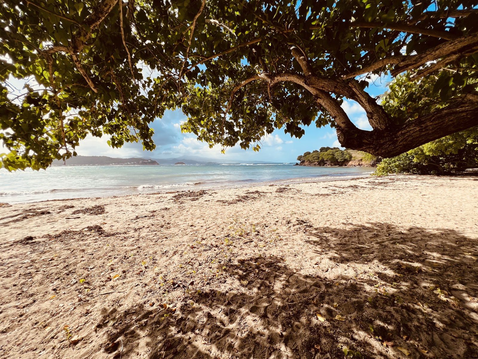 Studio Indépendant Schoelcher 264778