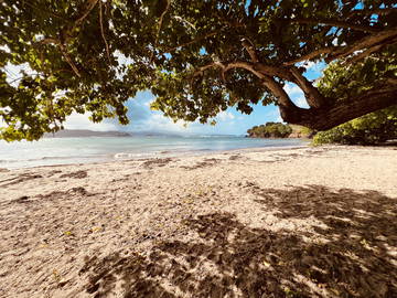 Logement Entier Schoelcher 264778-4