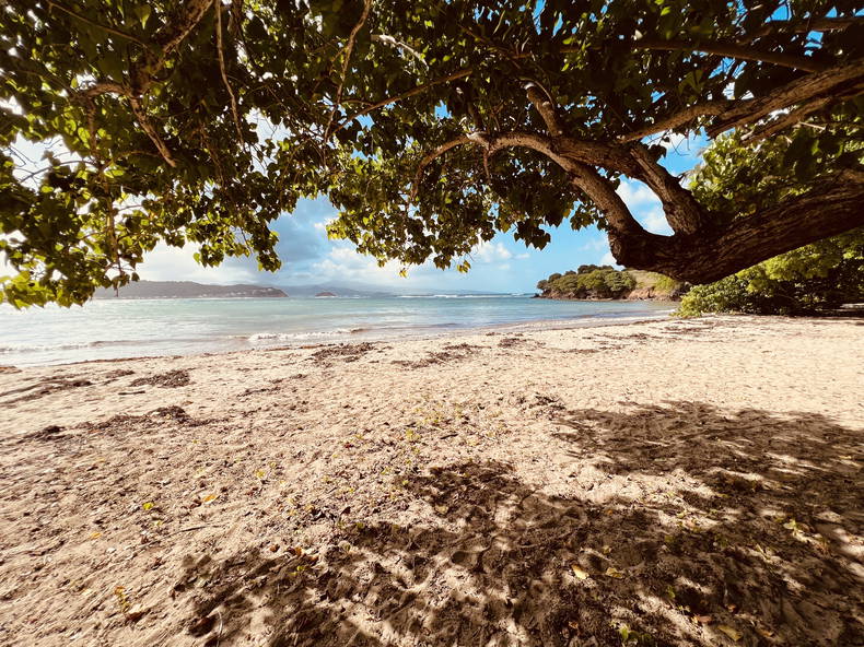 Ganzes Haus Schoelcher 264778-4