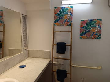 Logement Entier Schoelcher 264778-6