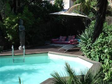 Roomlala | Studio Piscine Dans Jardin Tropical Jacuzzi