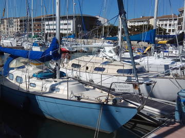 Studio For Rent 17300 199309-2