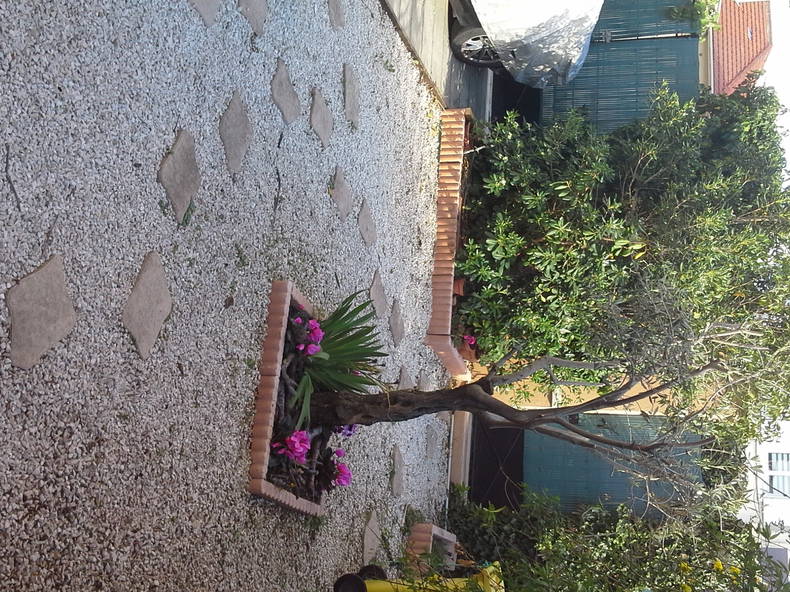 Logement Entier Marseille 132479-5