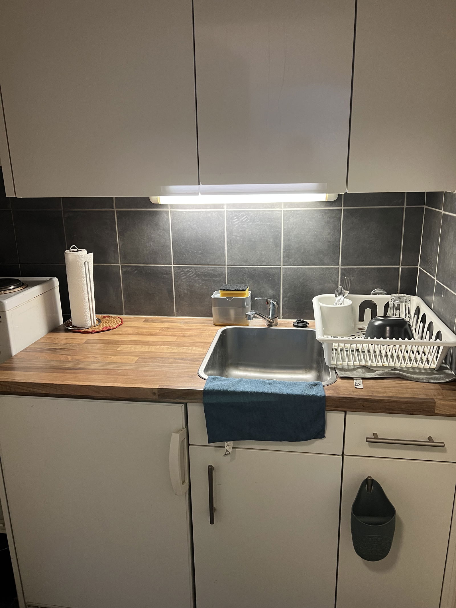 Logement Entier Genève 513218