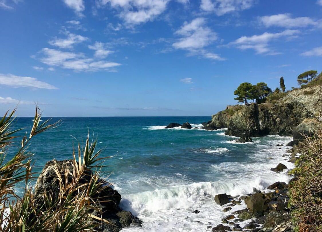 Gastfamilie Levanto 203384