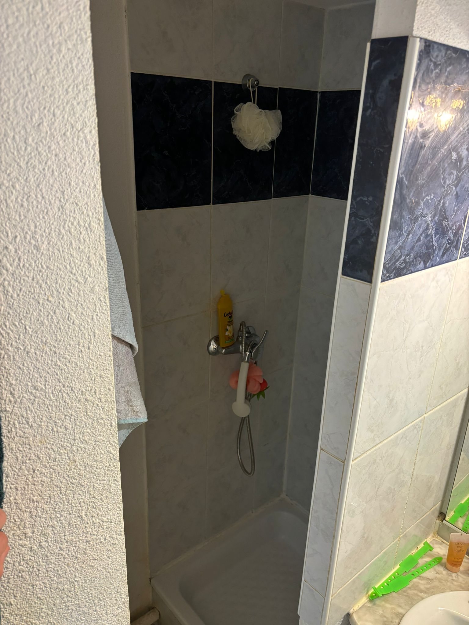 Logement Entier Toulouse 656354