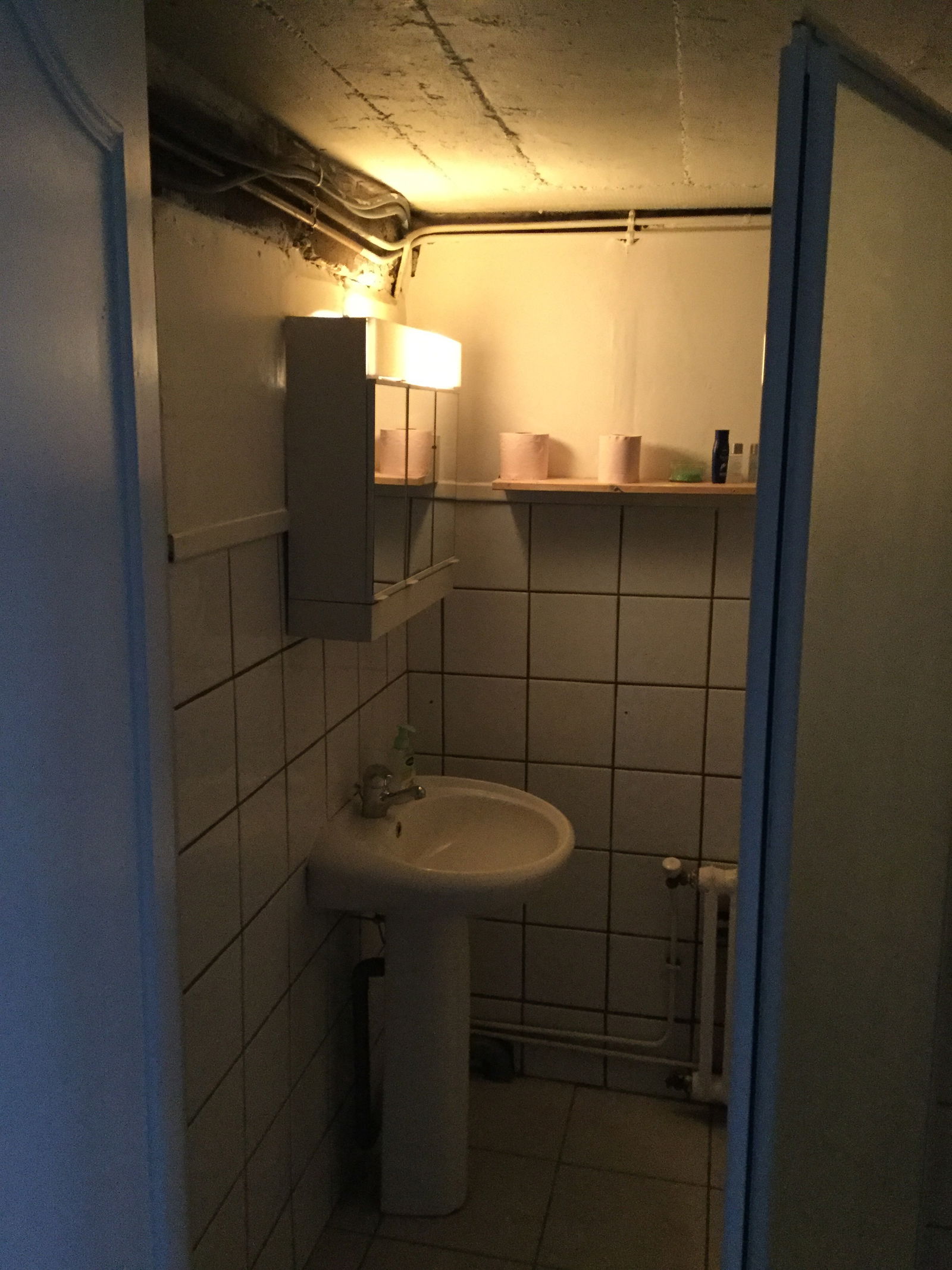 Logement Entier Grenoble 223937