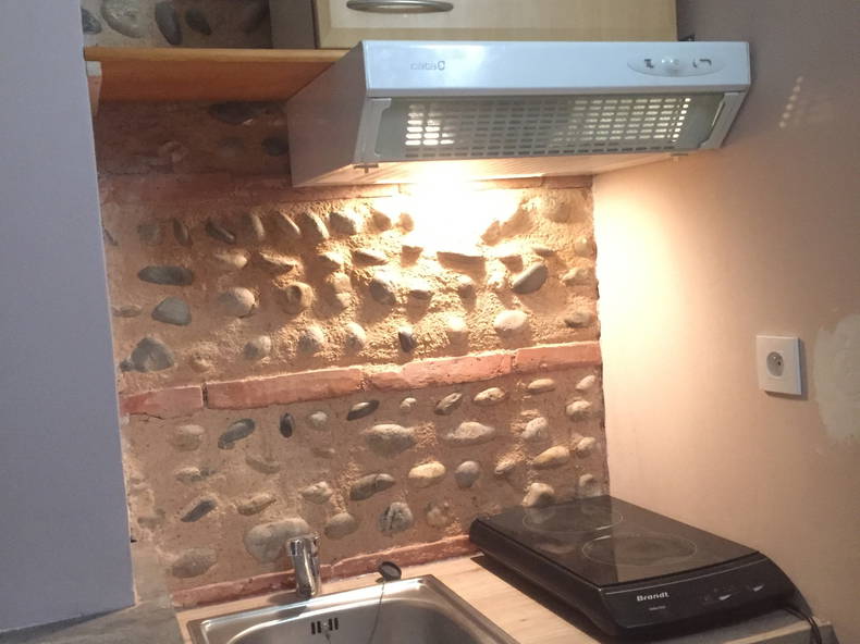 Ganzes Haus Toulouse 248071-2