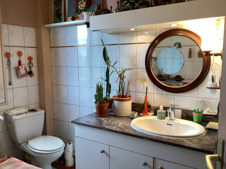 Chambre Chez L'habitant Le Bourget 265769-3