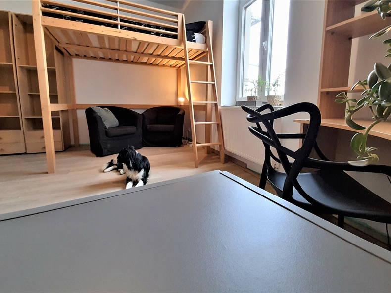 Kolokasie Charleroi 259325-1