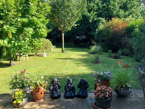 Gehele Woning Waterloo 259774-1