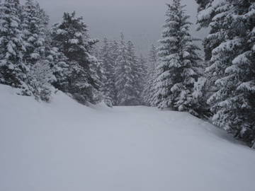 Logement Entier Villard-De-Lans 144692-8