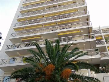 Room For Rent Toulon 254238