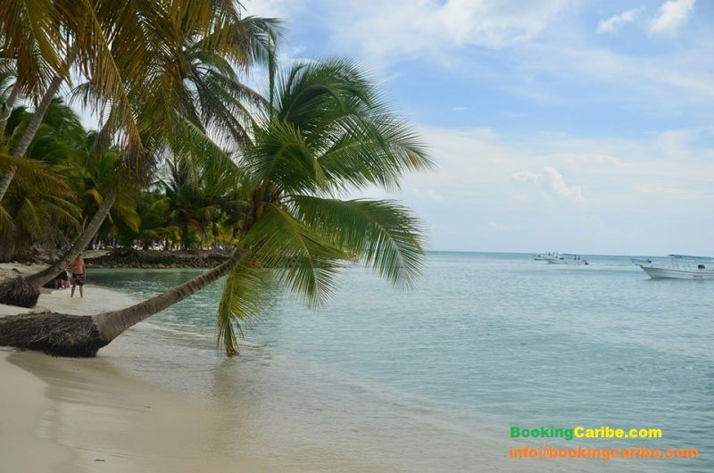 Studio Indépendant Dominicus 114470