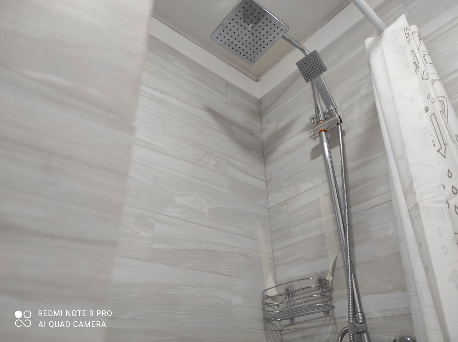 Studio Indépendant Dominicus 114470