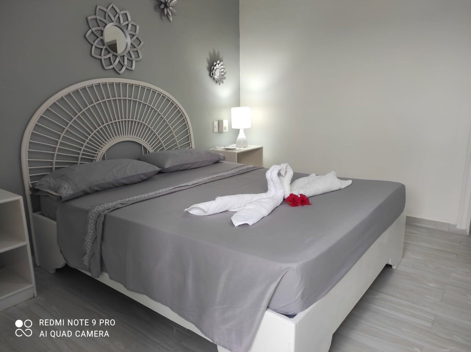 Studio Indépendant Dominicus 114470