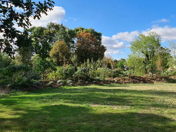 Logement Entier Couëron 241940-11