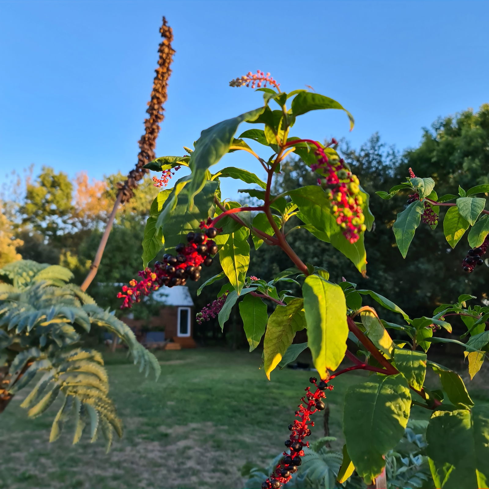 Independent Studio Couëron 241940