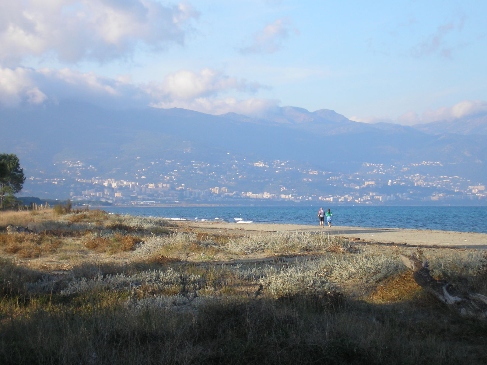 Onafhankelijke Studio Borgo 64106