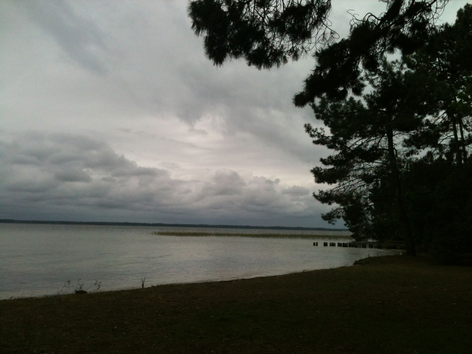 Uafhængigt Studie Biscarrosse 75598