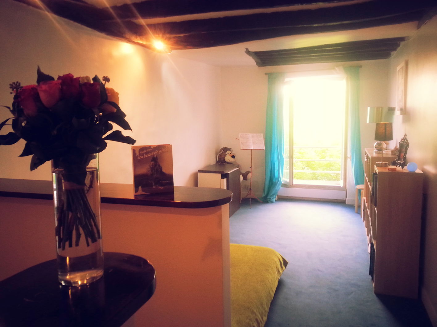 Uafhængigt Studie Paris 82616