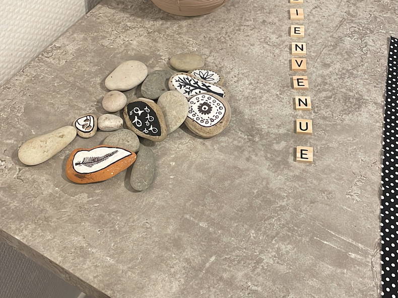 Chambre Chez L'habitant Toulouse 366435-1