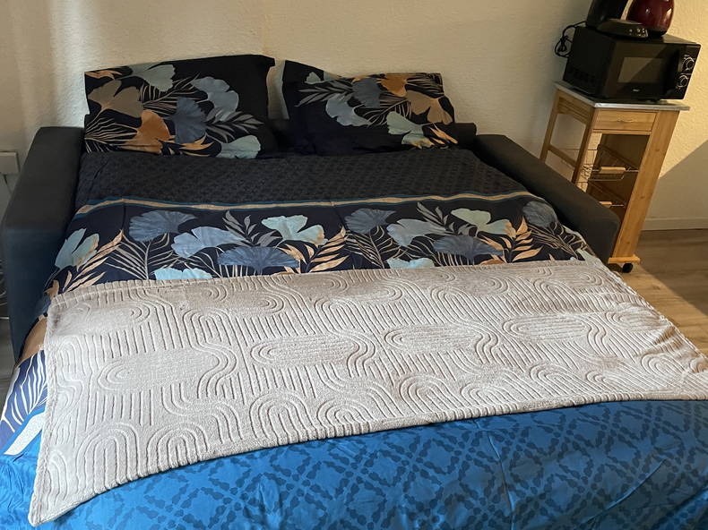 Chambre Chez L'habitant Toulouse 366435-2