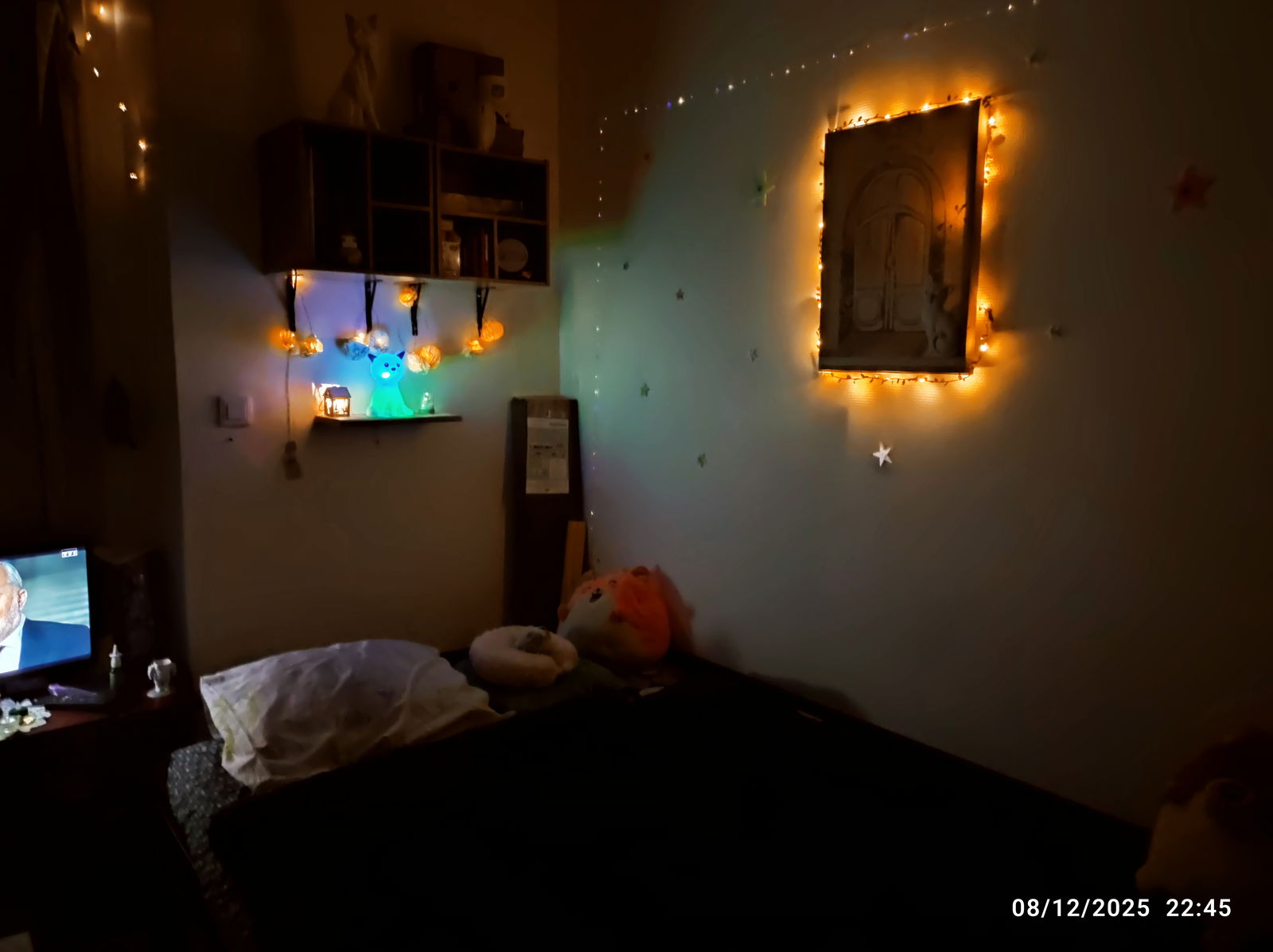 Hela Huset Toulouse 646301