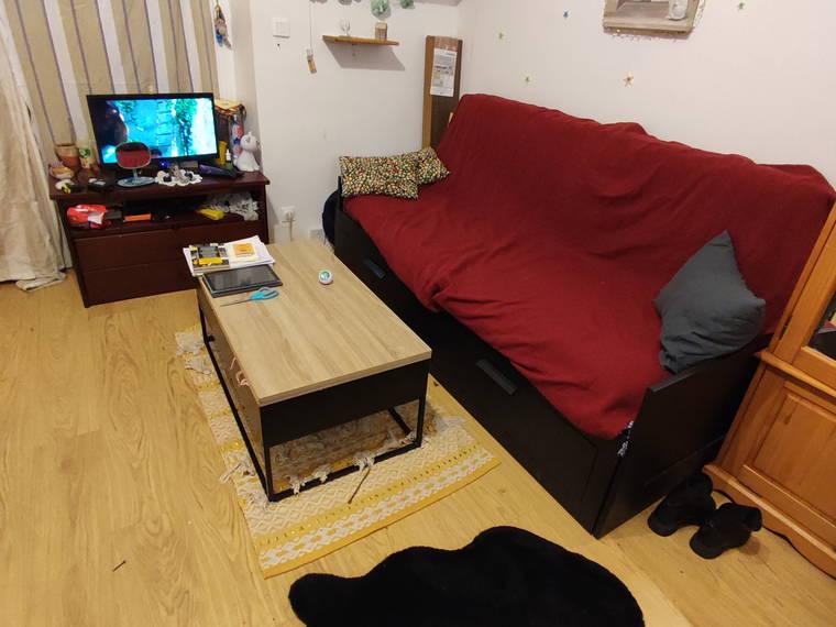 Gehele Woning Toulouse 646301