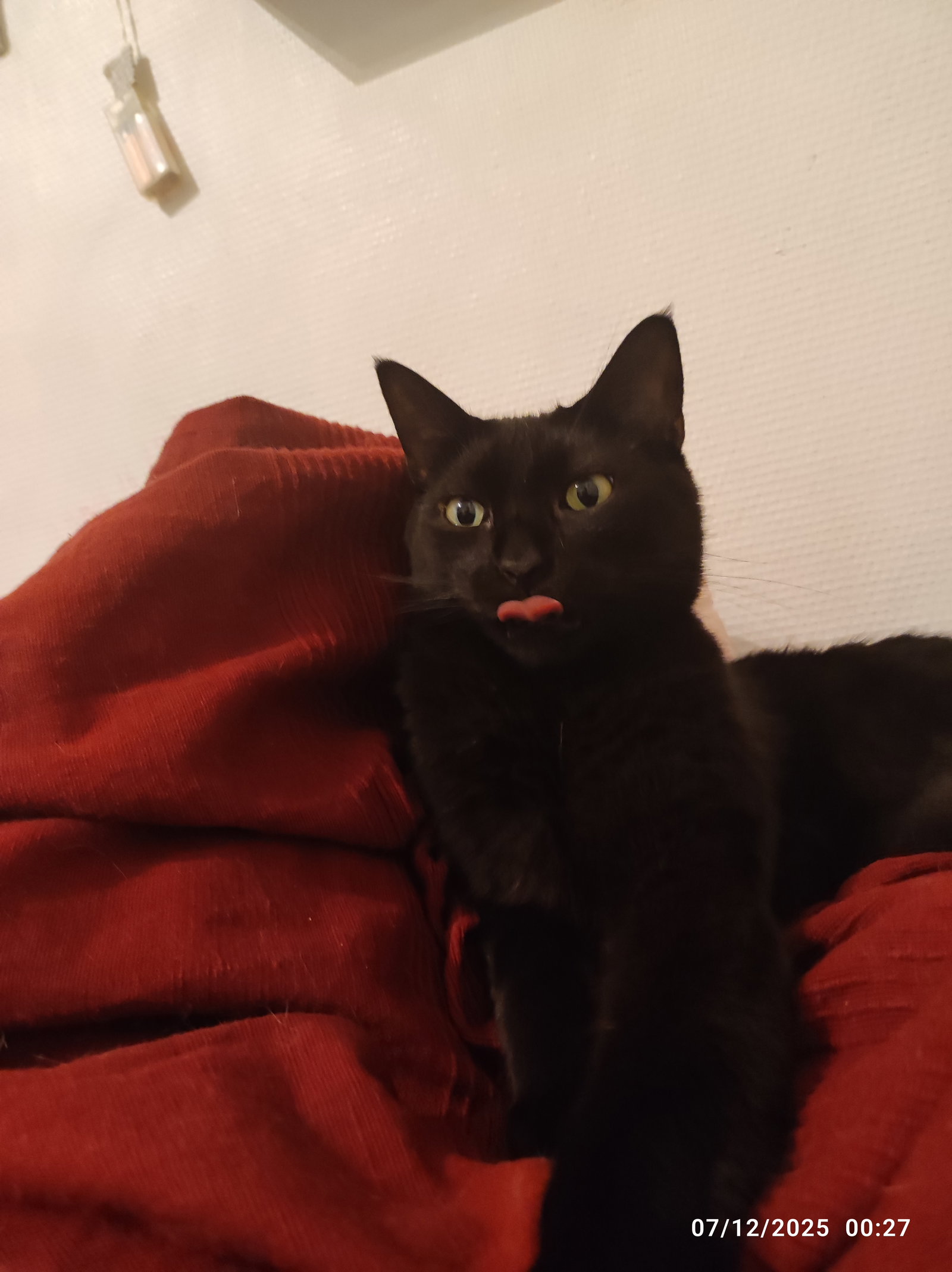 Tutta La Casa Toulouse 646301