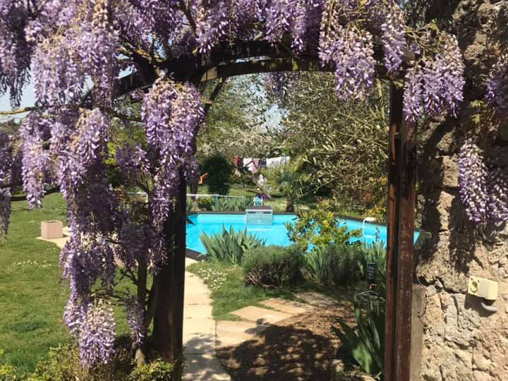 Entire Home Monthou-sur-Cher 448111-5