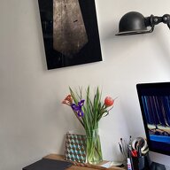 Onafhankelijke Studio Paris 490495