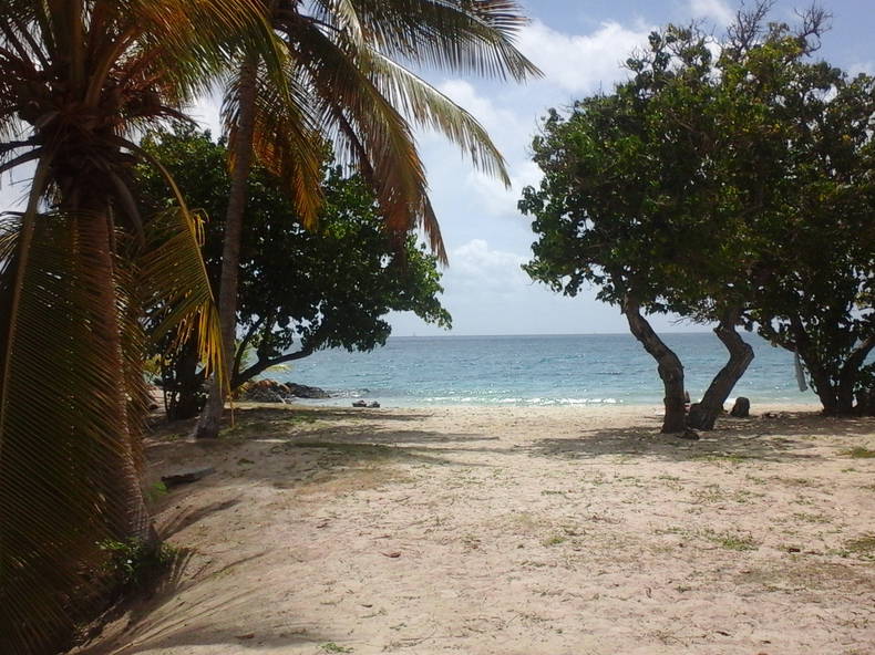 Gehele Woning Sainte-Luce 123411-3