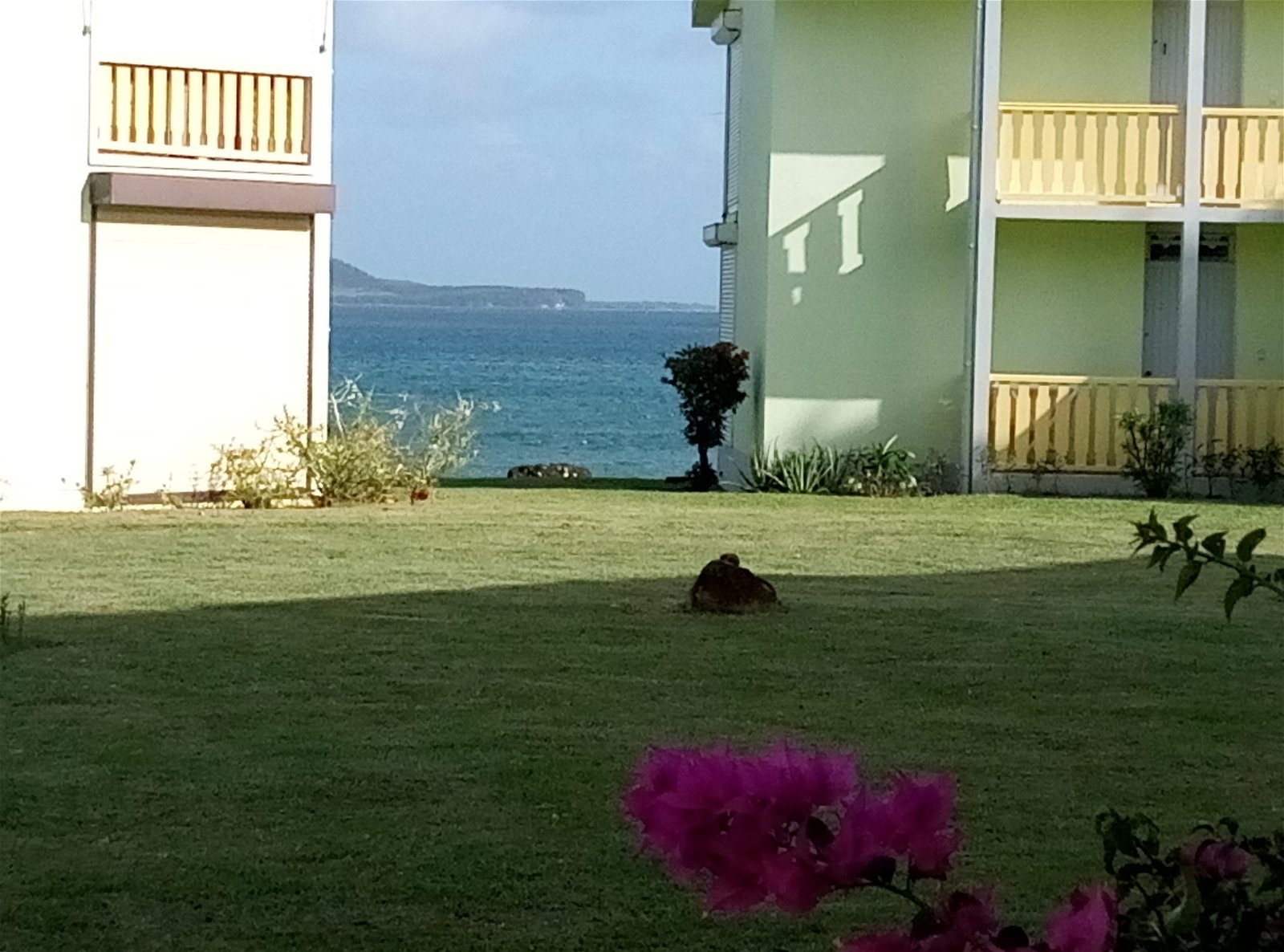 Studio Indépendant Sainte-Luce 194977