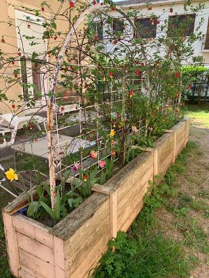 Gastfamilie Lamalou-les-Bains 472078