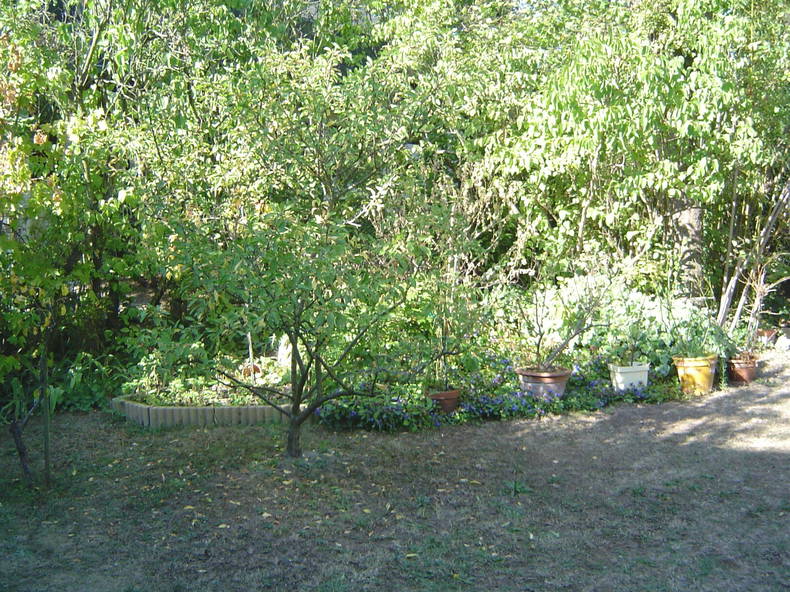 Homestay Livry-Gargan 67828-5