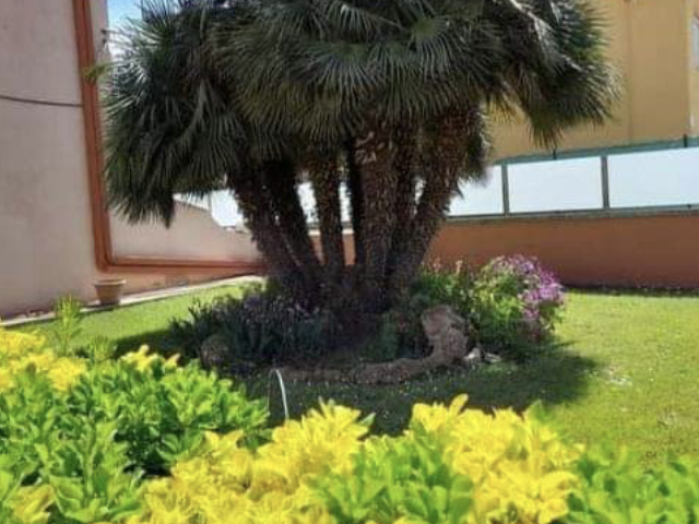 Gastgezin Els Griells 357114-3