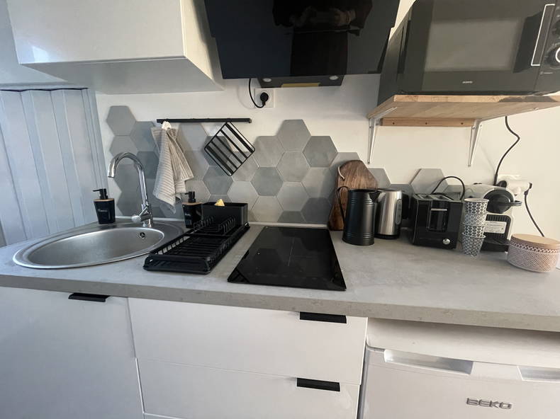 Logement Entier Castelginest 259008-2