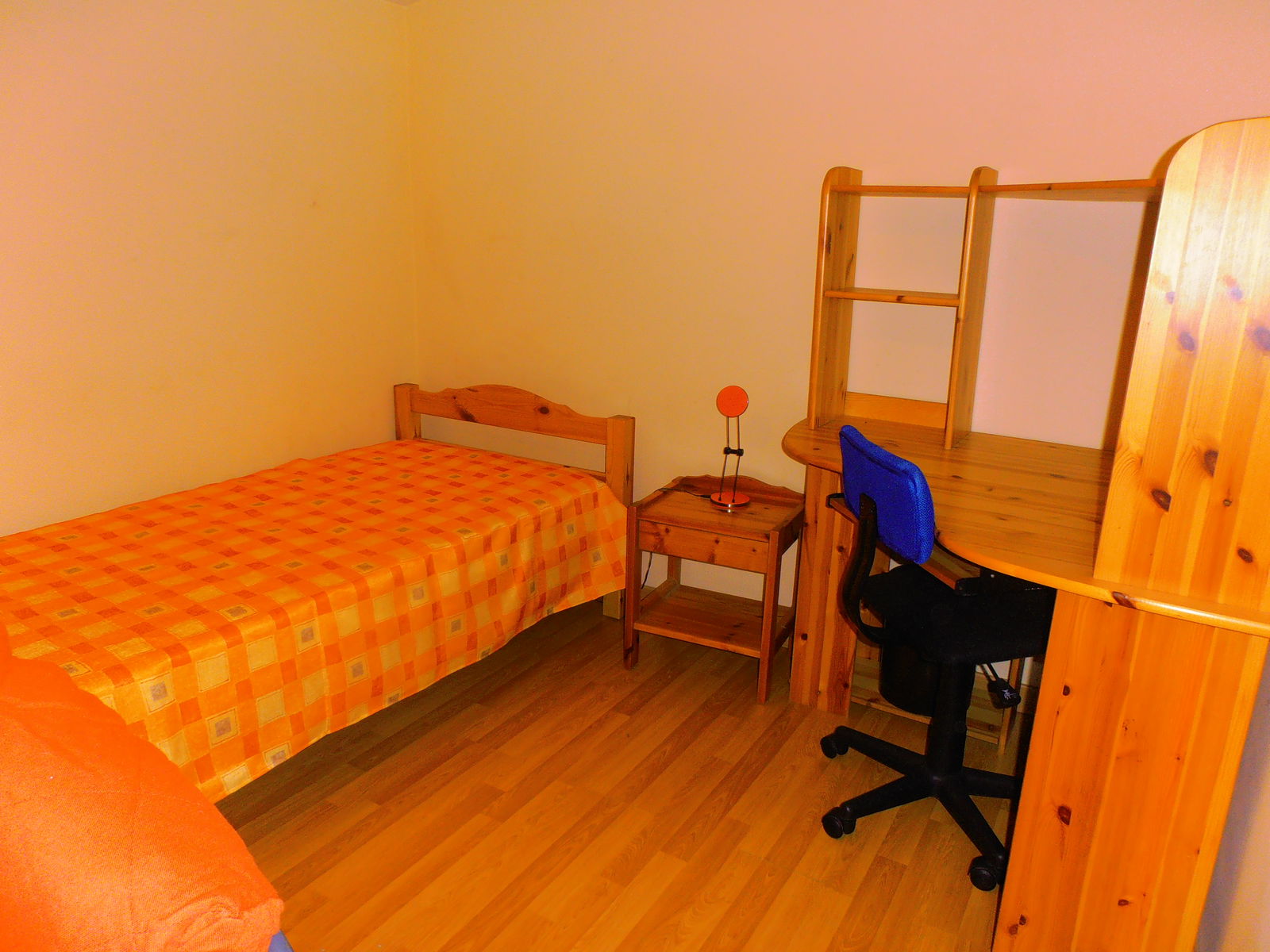 Homestay Lyon 387631