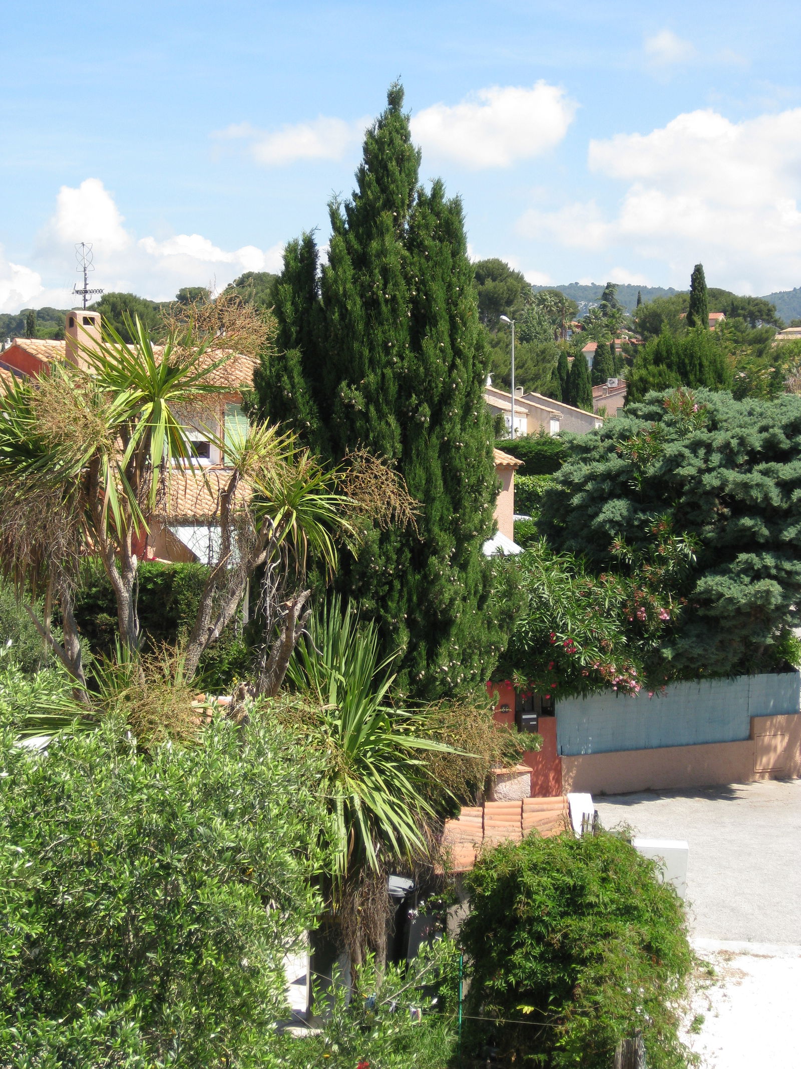 Gastfamilie Sanary-sur-Mer 120184