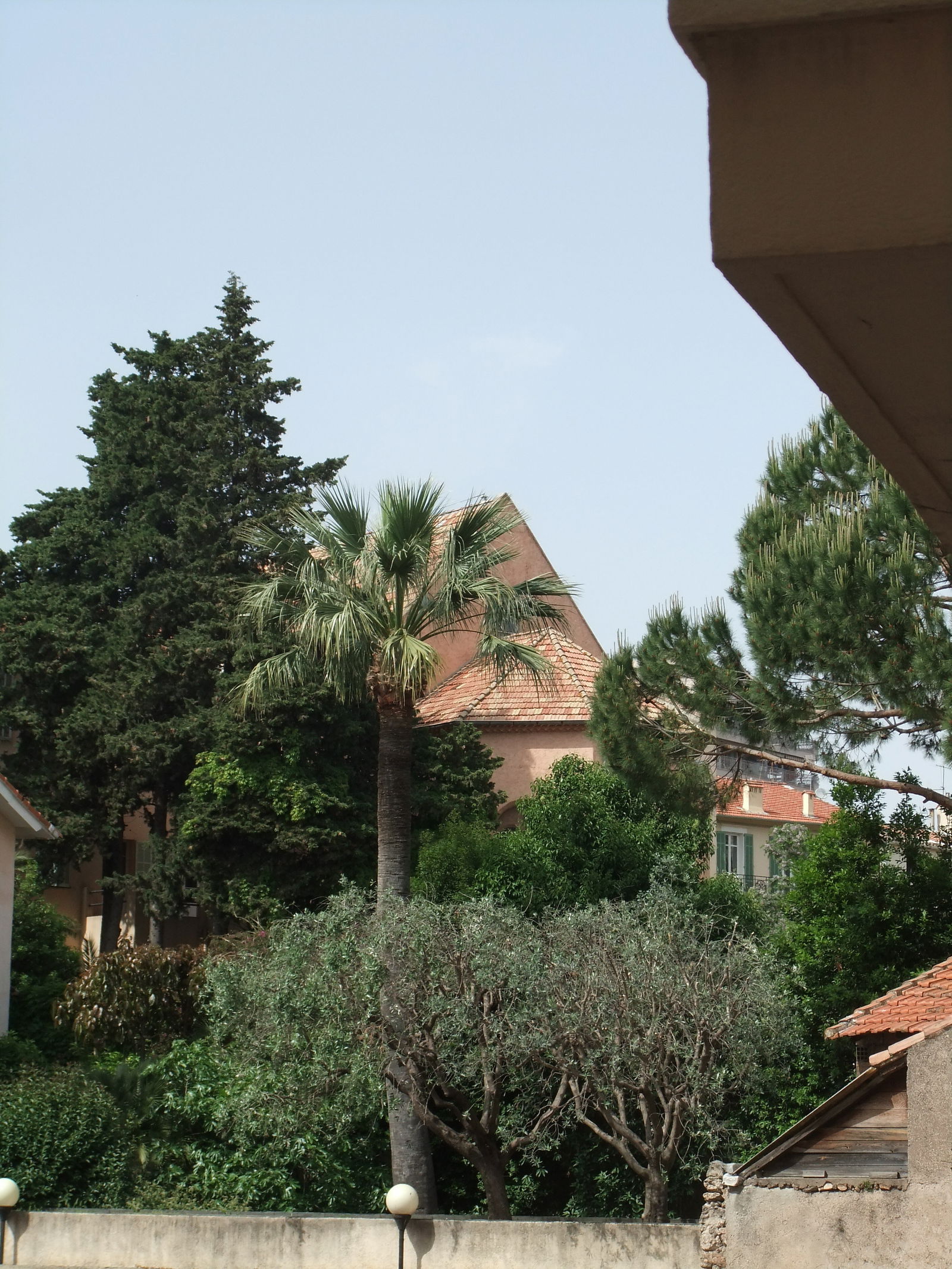 Unabhängiges Studio Cannes 98354