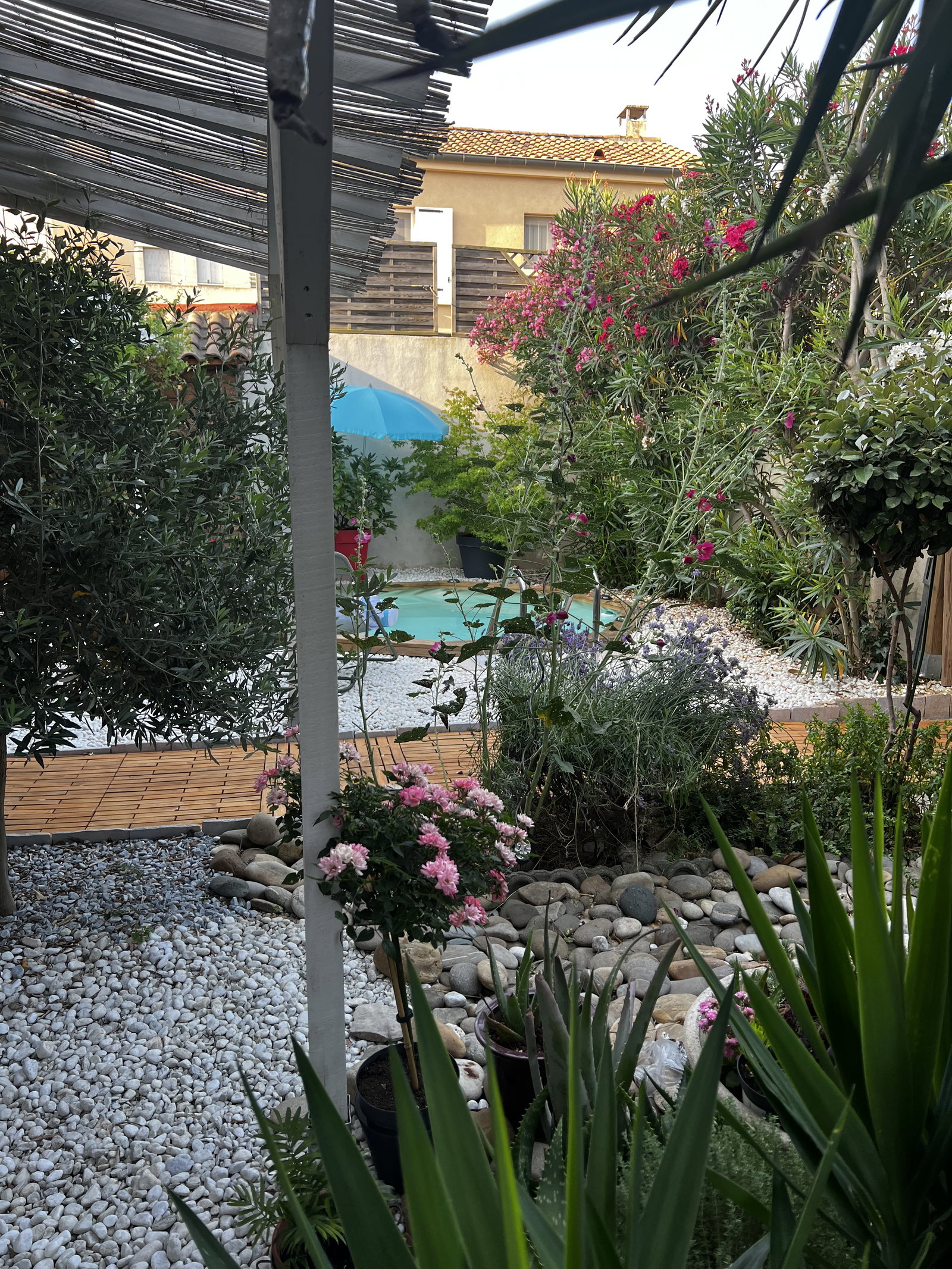 Homestay Avignon 170262