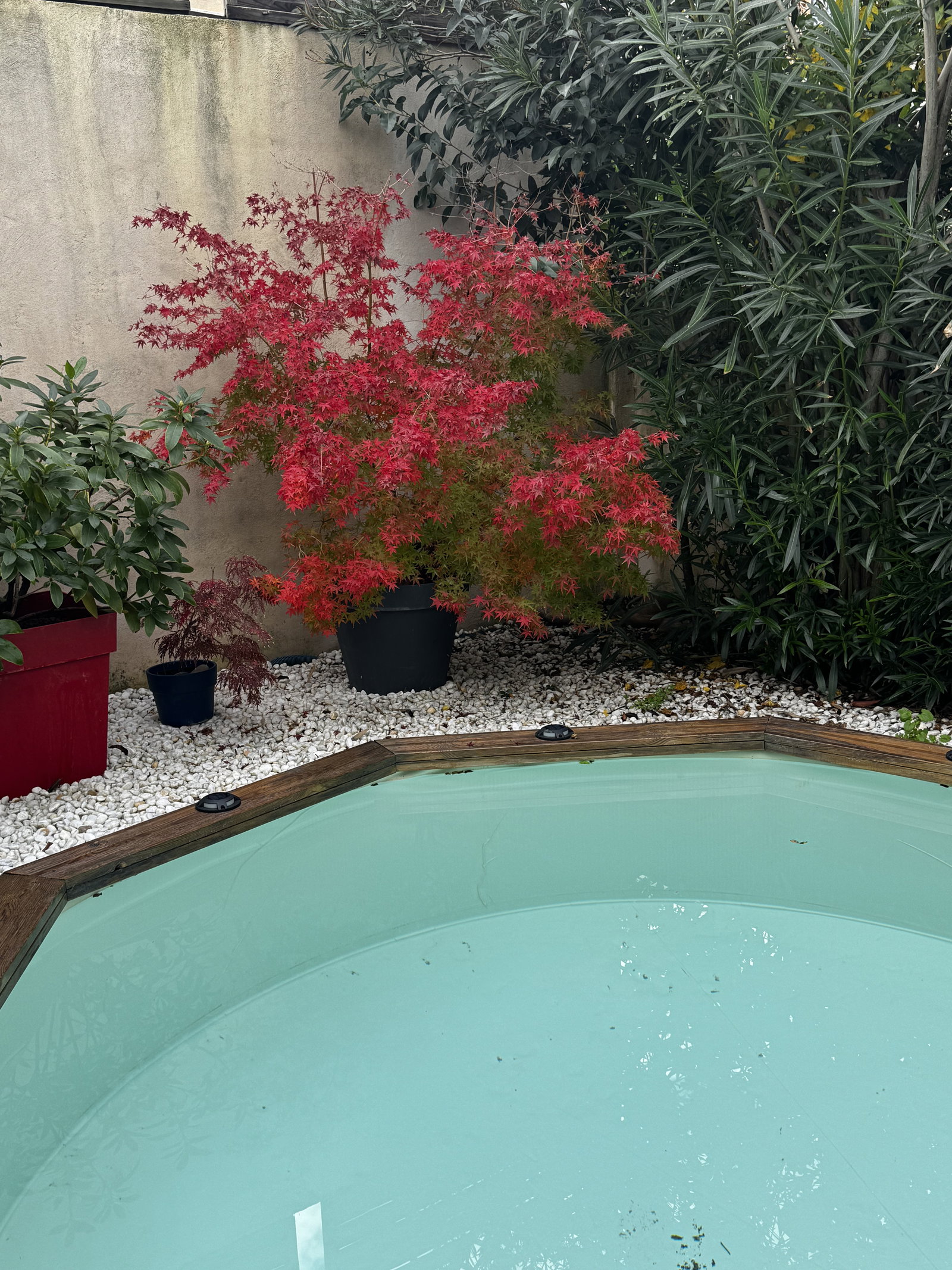 Homestay Avignon 170262