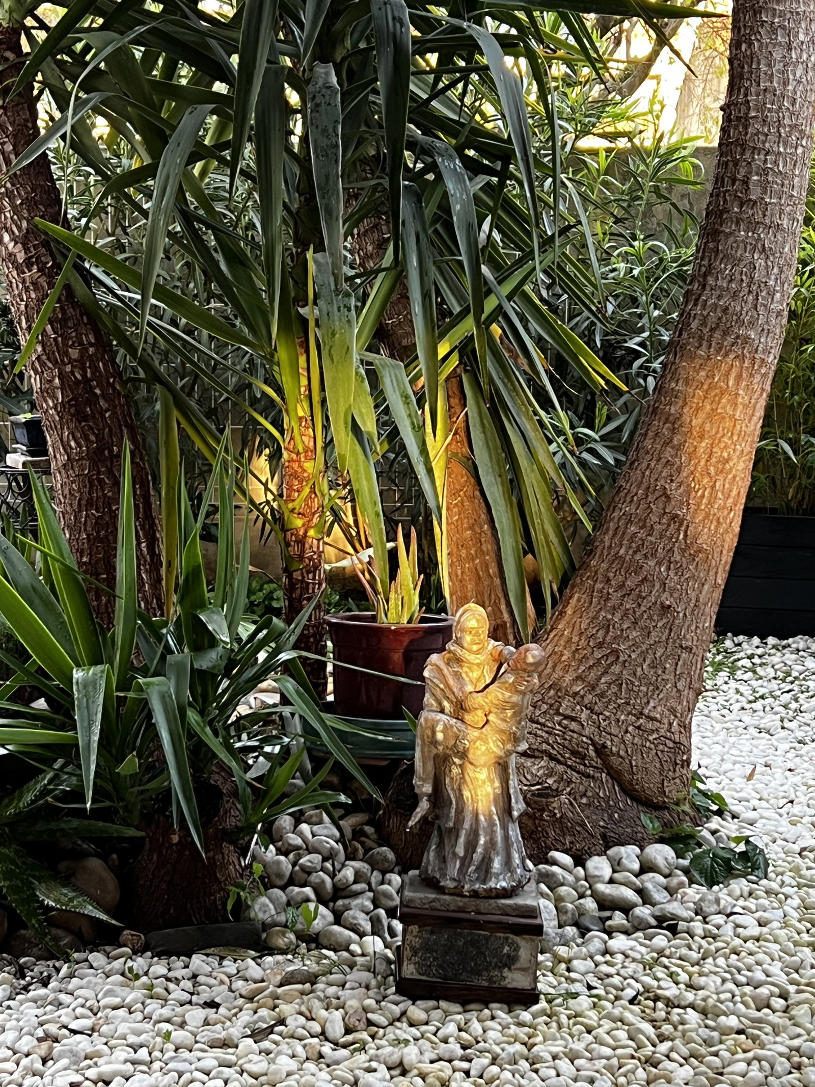 Homestay Avignon 170262