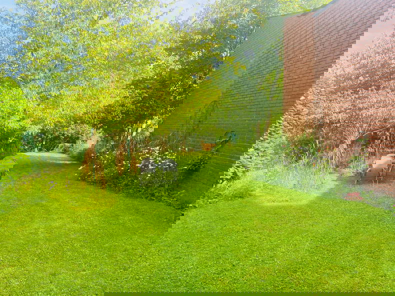 Colocation Namur 46120-1