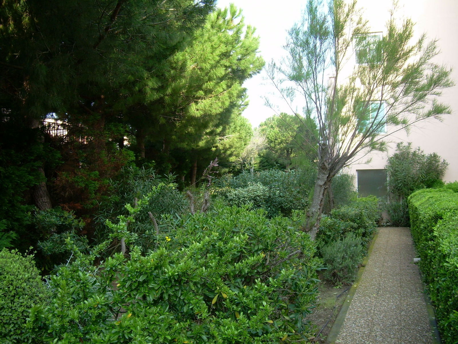 Oberoende Studio Gruissan 91871